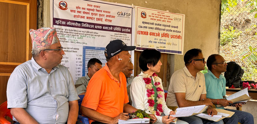 third implementation support mission